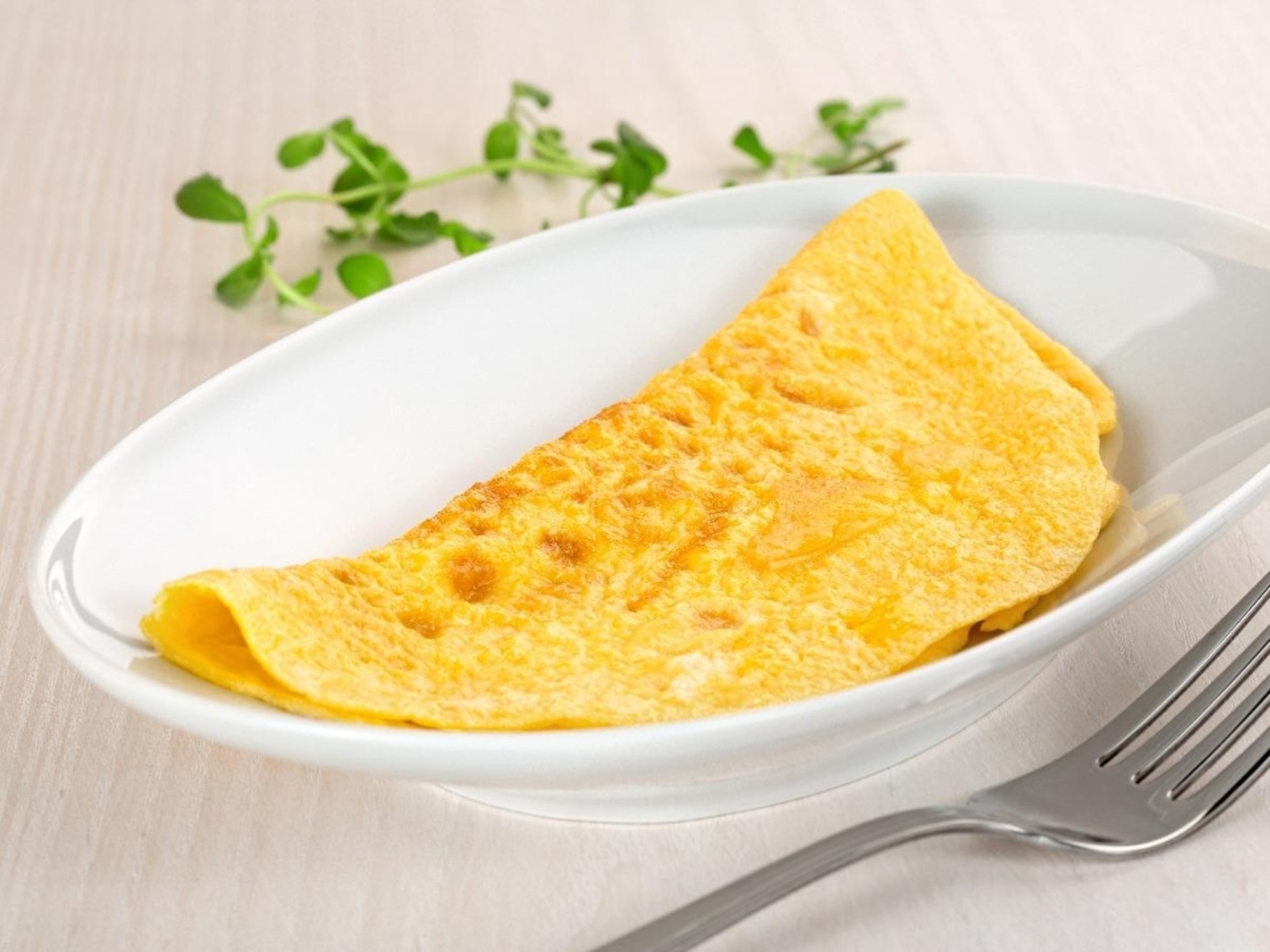 Cheese Omelet