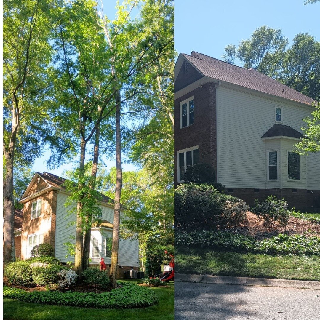 ALPHA TREE CARE LLC Image