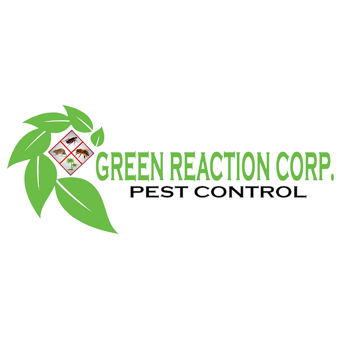 Green Reaction Corp.