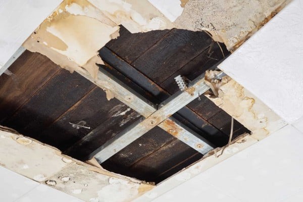 Water Damage Mitigation