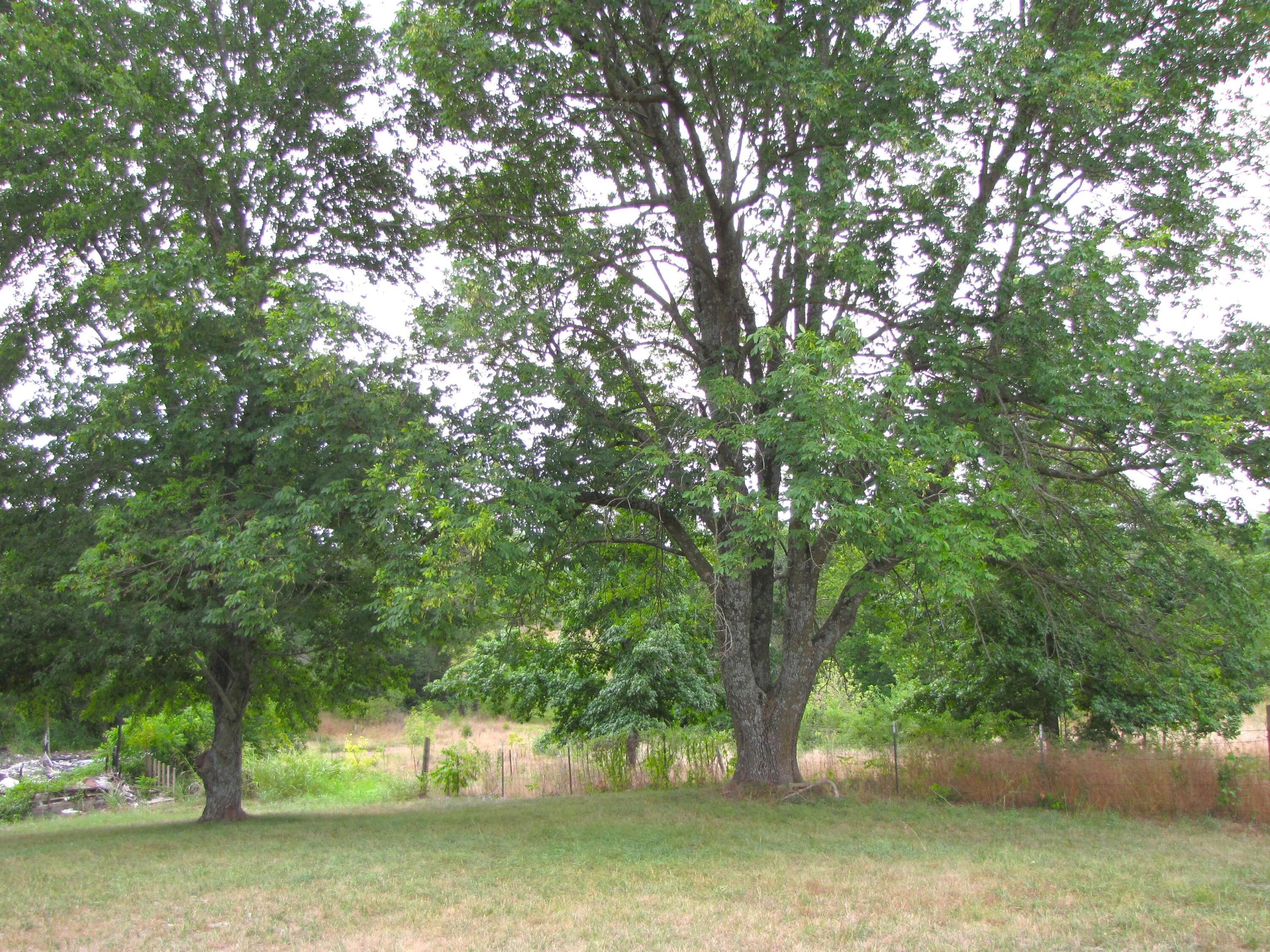 Vacant Land & Other Lots
