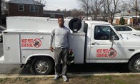 Nest Pest Control Washington DC Photo