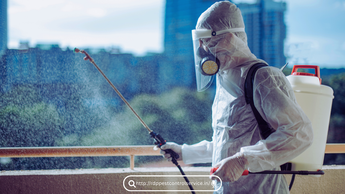 Pest Control New York
