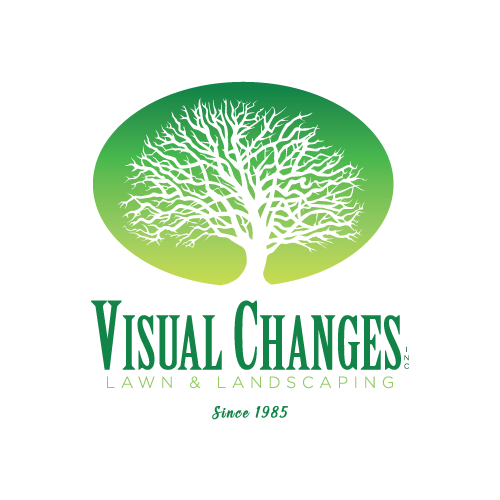 Visual Changes, Inc Logo