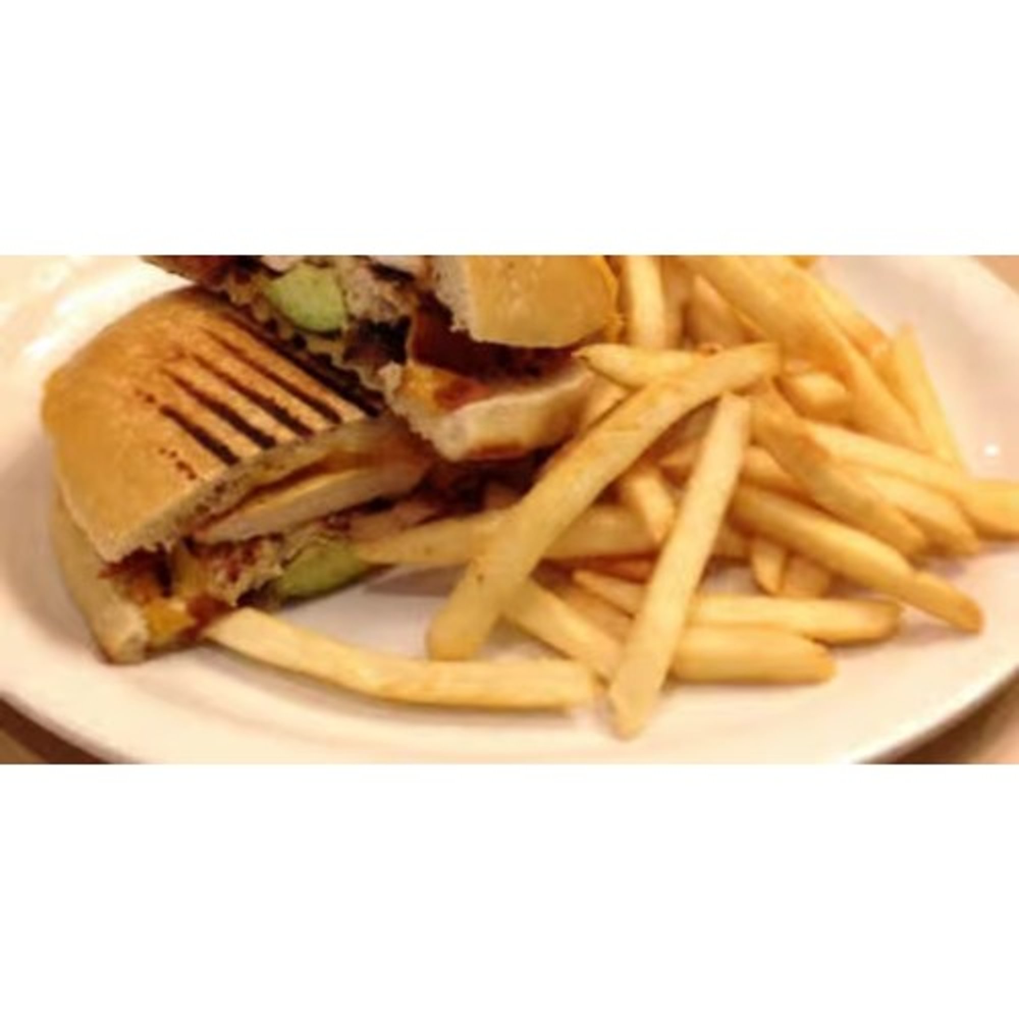 The Texan Panini