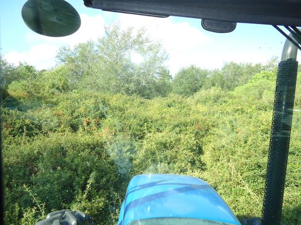 Images GHR Tractor Mowing & Land Clearing