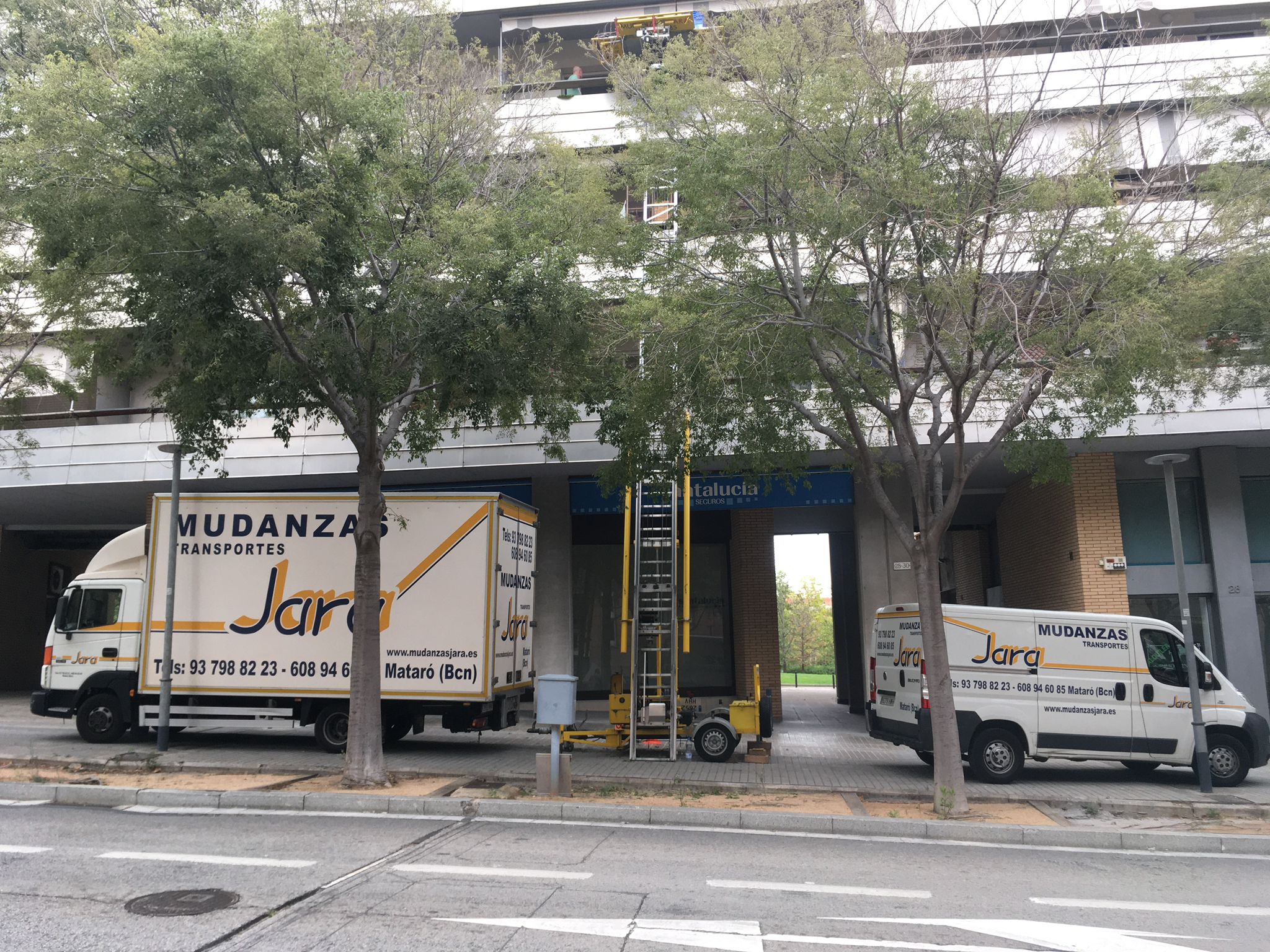 Galería en miniatura