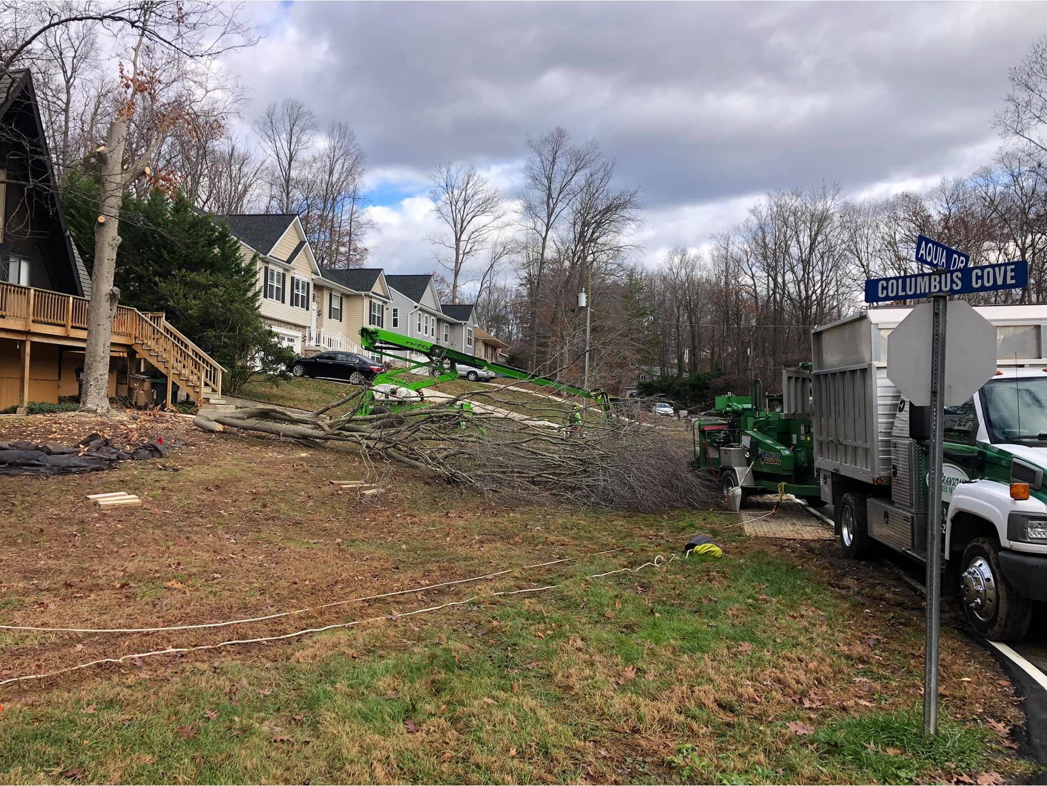 Branson's Tree Service Image