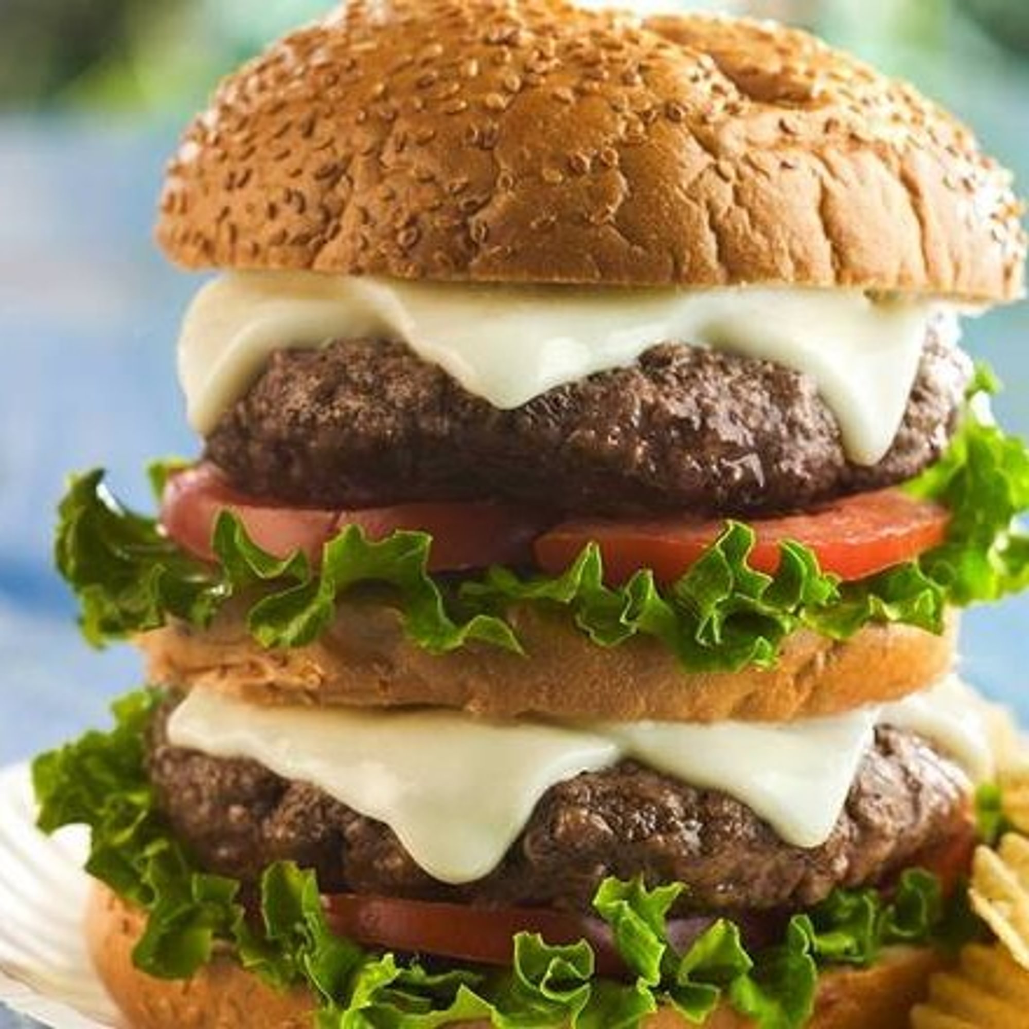 Double Cheeseburger