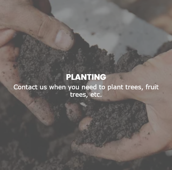 Advanced Tree Management Image