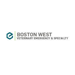 Boston West Veterinary Emergency & Specialty Photo