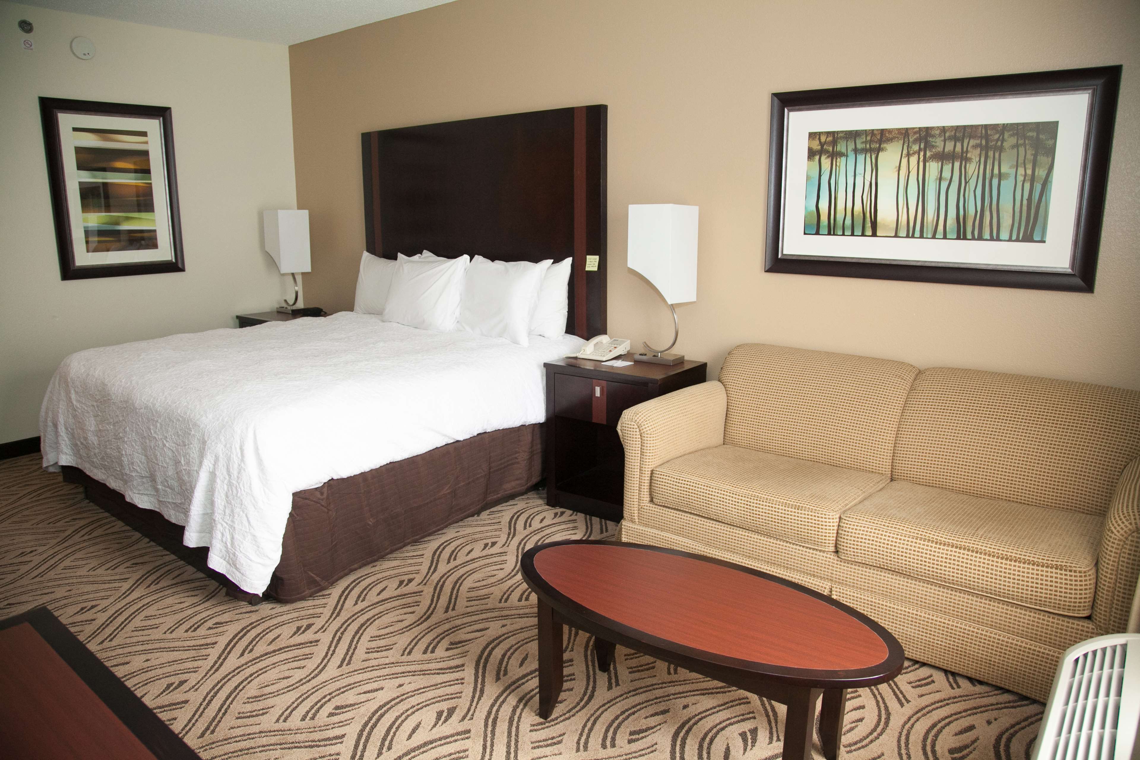 Hampton Inn & Suites Alpharetta Photo