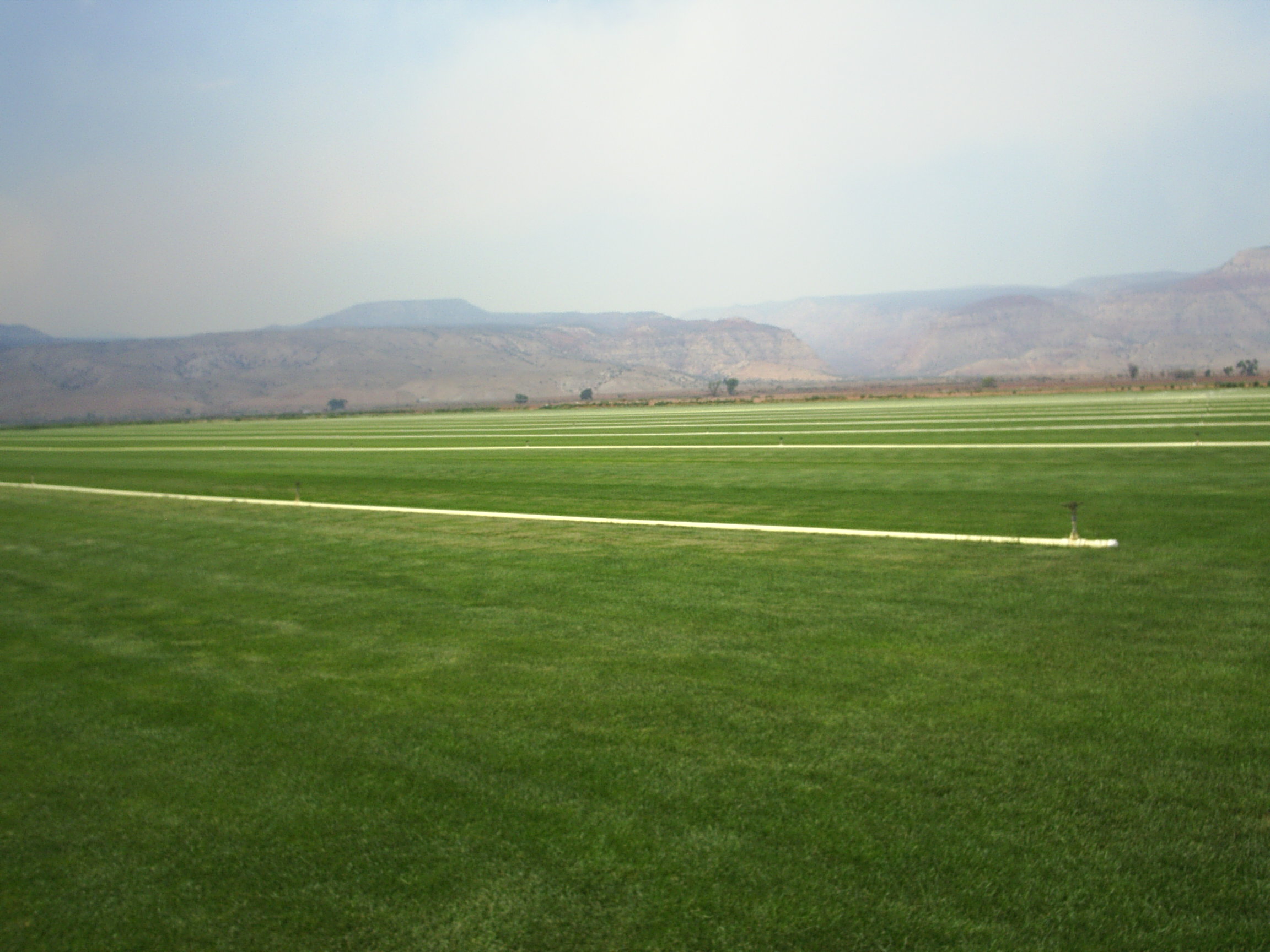 All American Sod Farms Photo