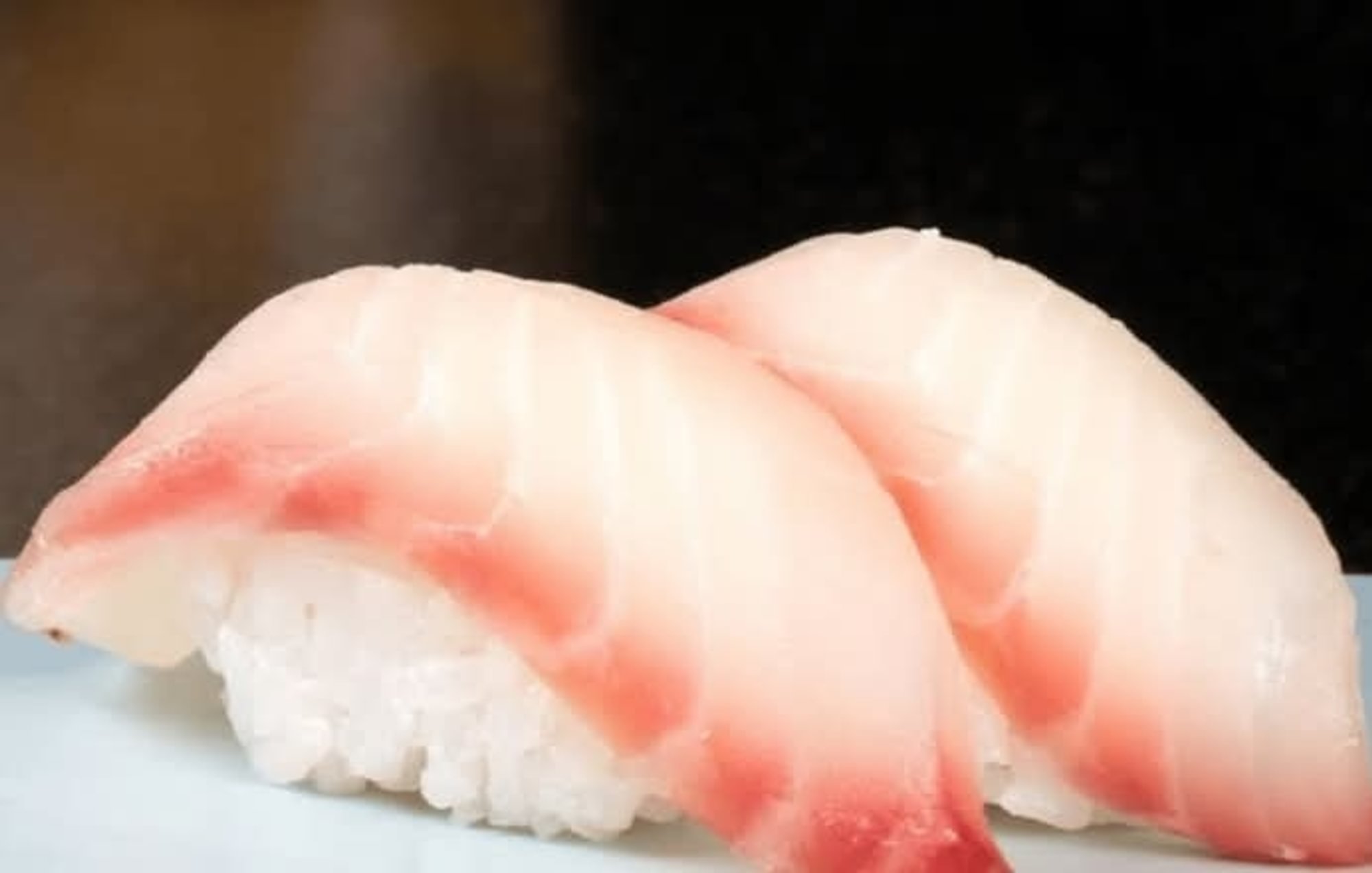 Snapper