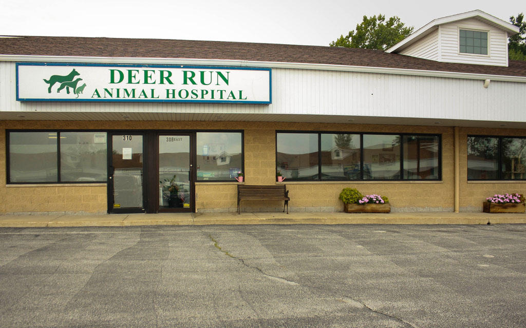 Deer Run Animal Hospital Photo