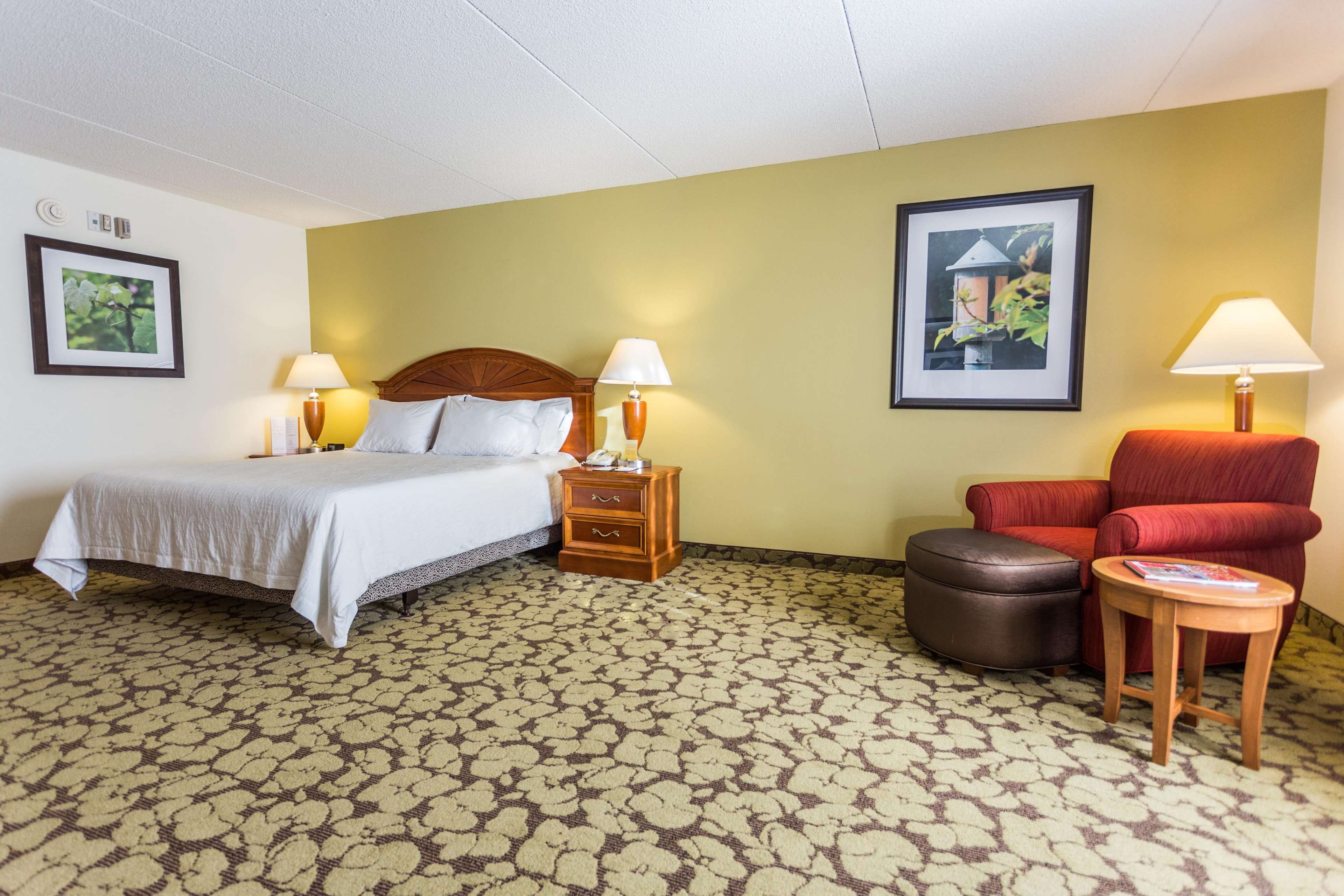 Hilton Garden Inn Providence Airport/Warwick Photo