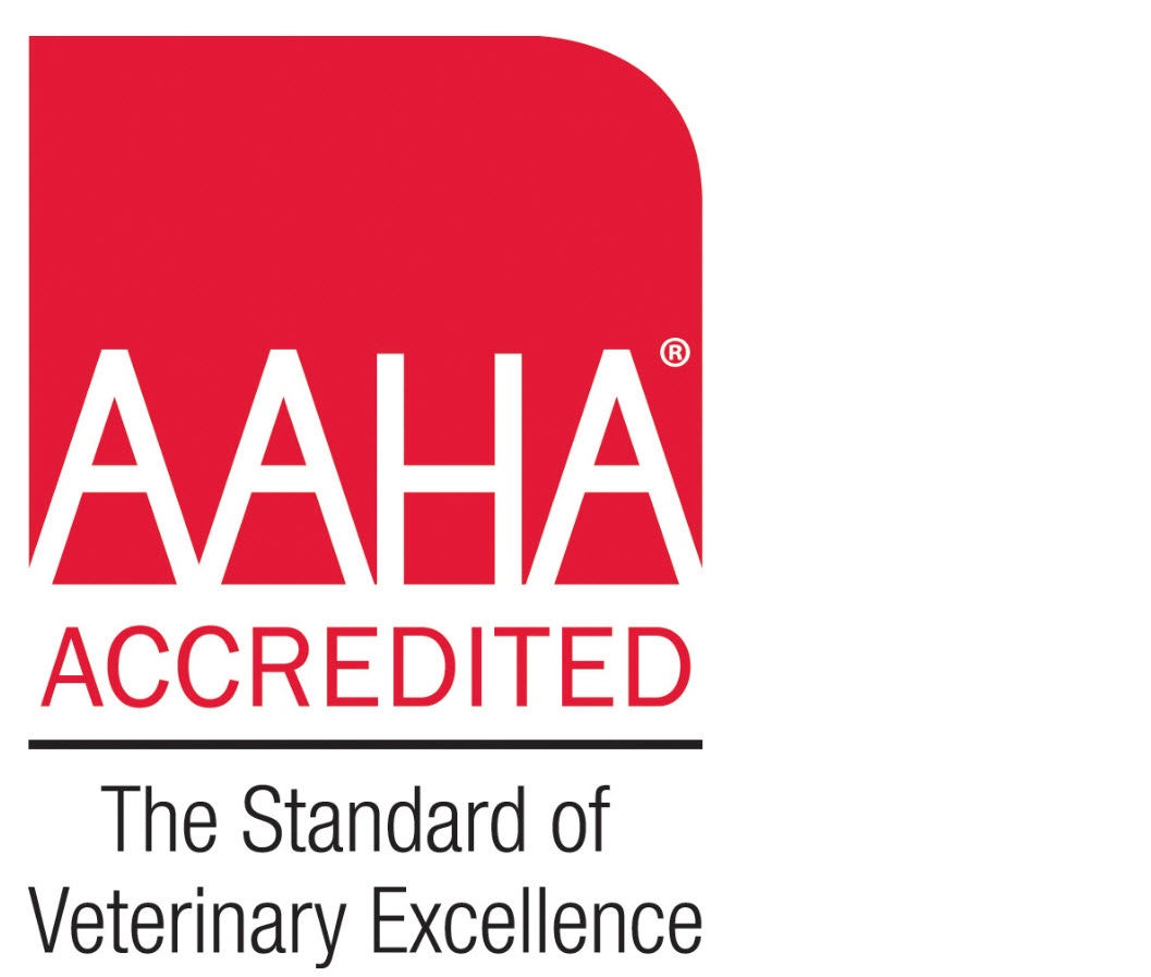 Images Markham Veterinary Clinic