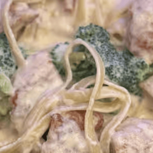 Chicken Alfredo