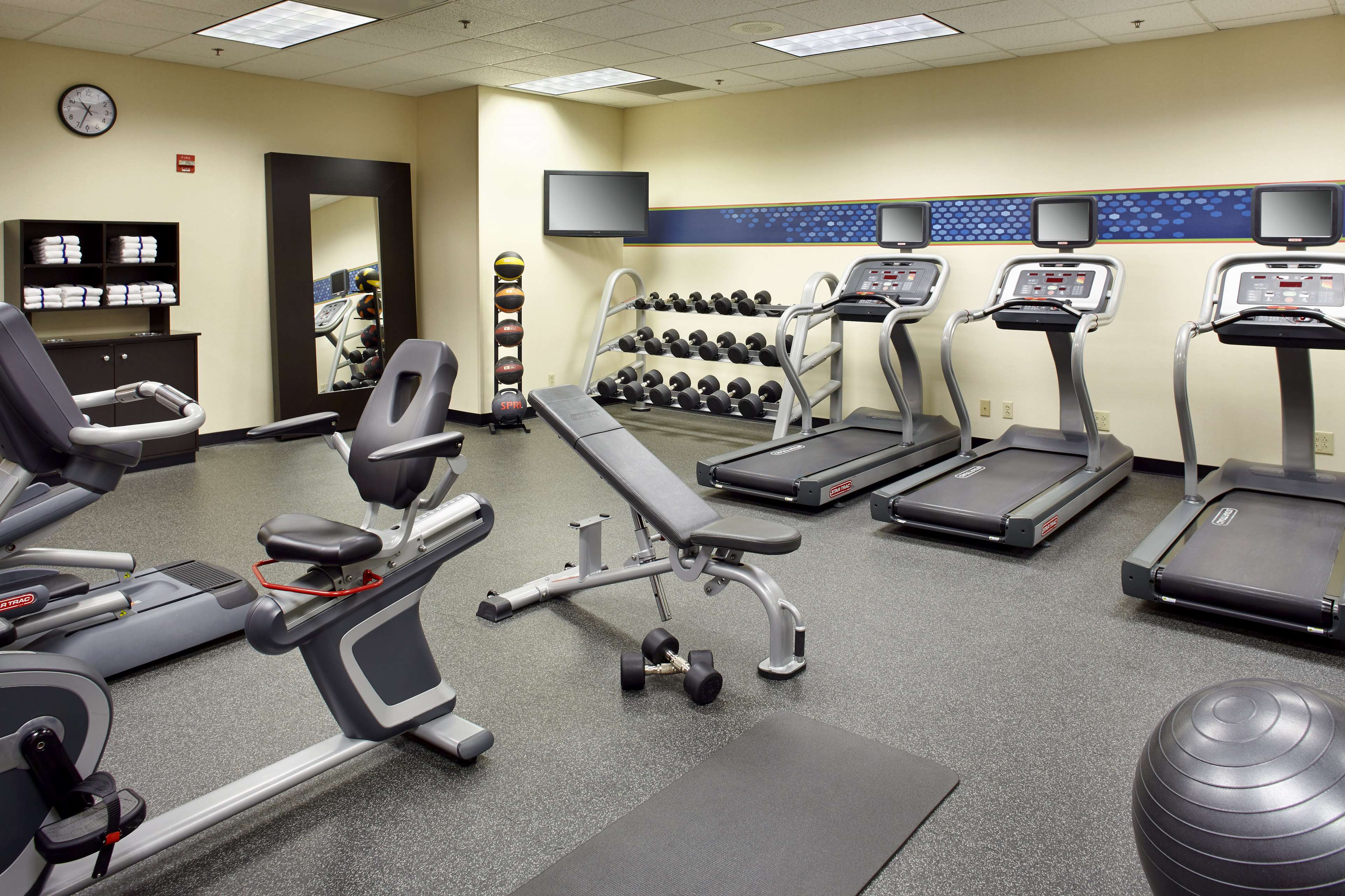 Health club  fitness center  gym