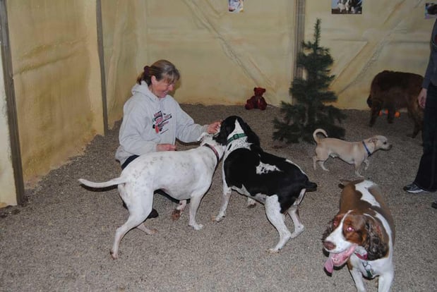 Images Saalo Farms Pampered Pet Boarding