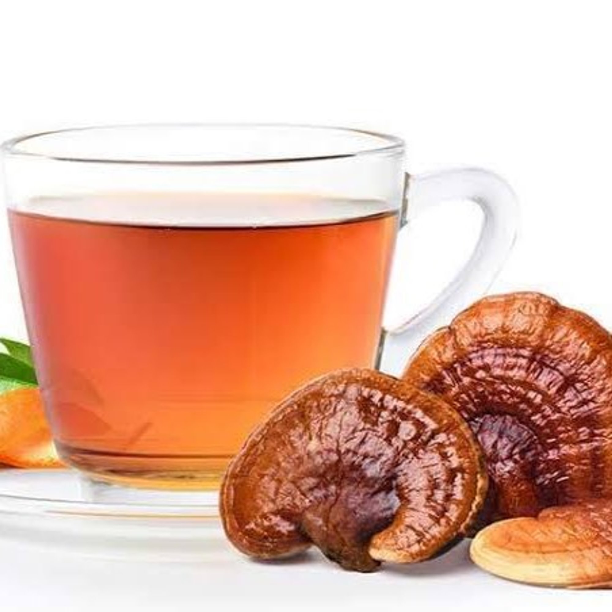 Reishi