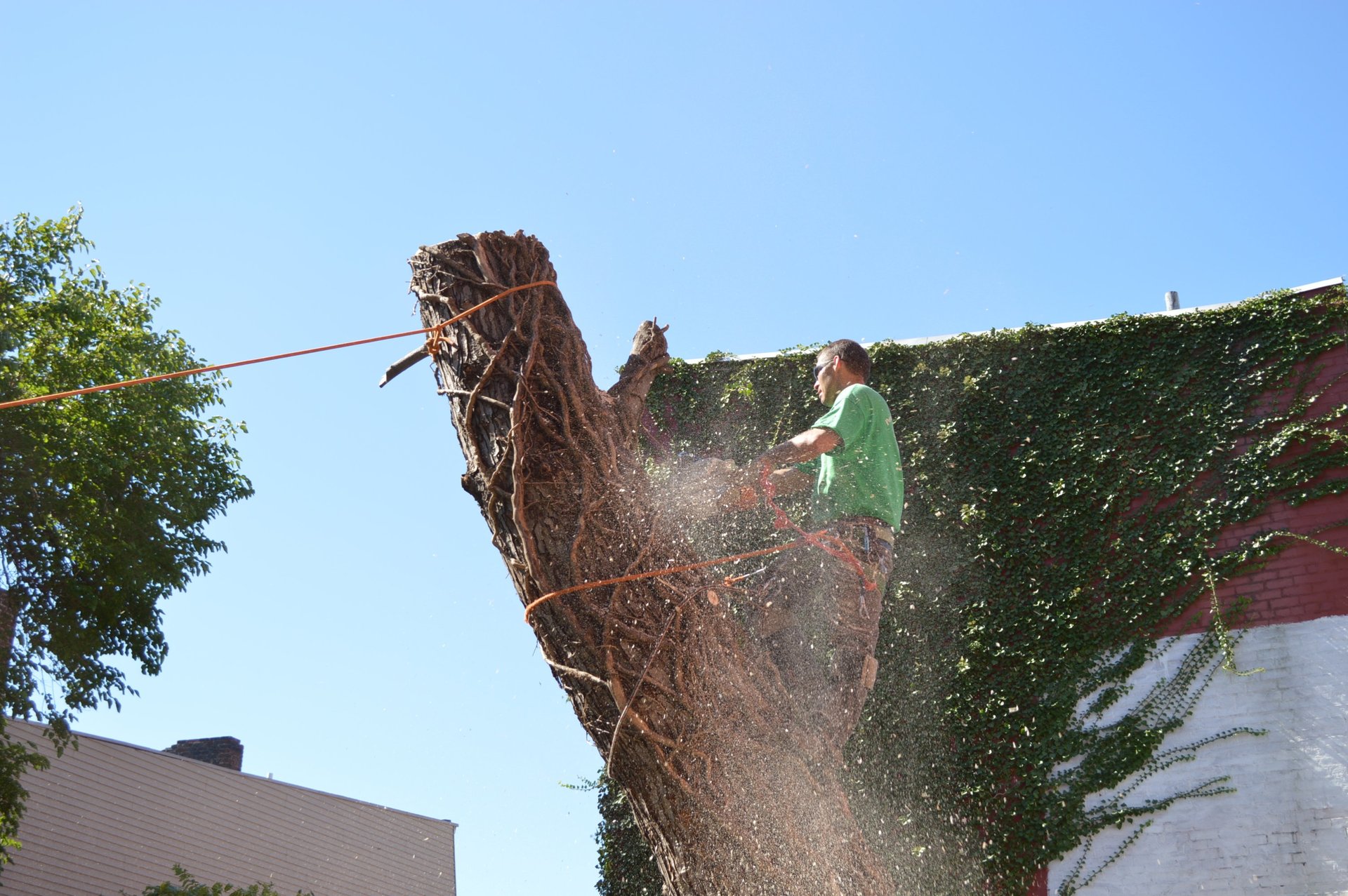 Peru's Tree Service Inc. Photo