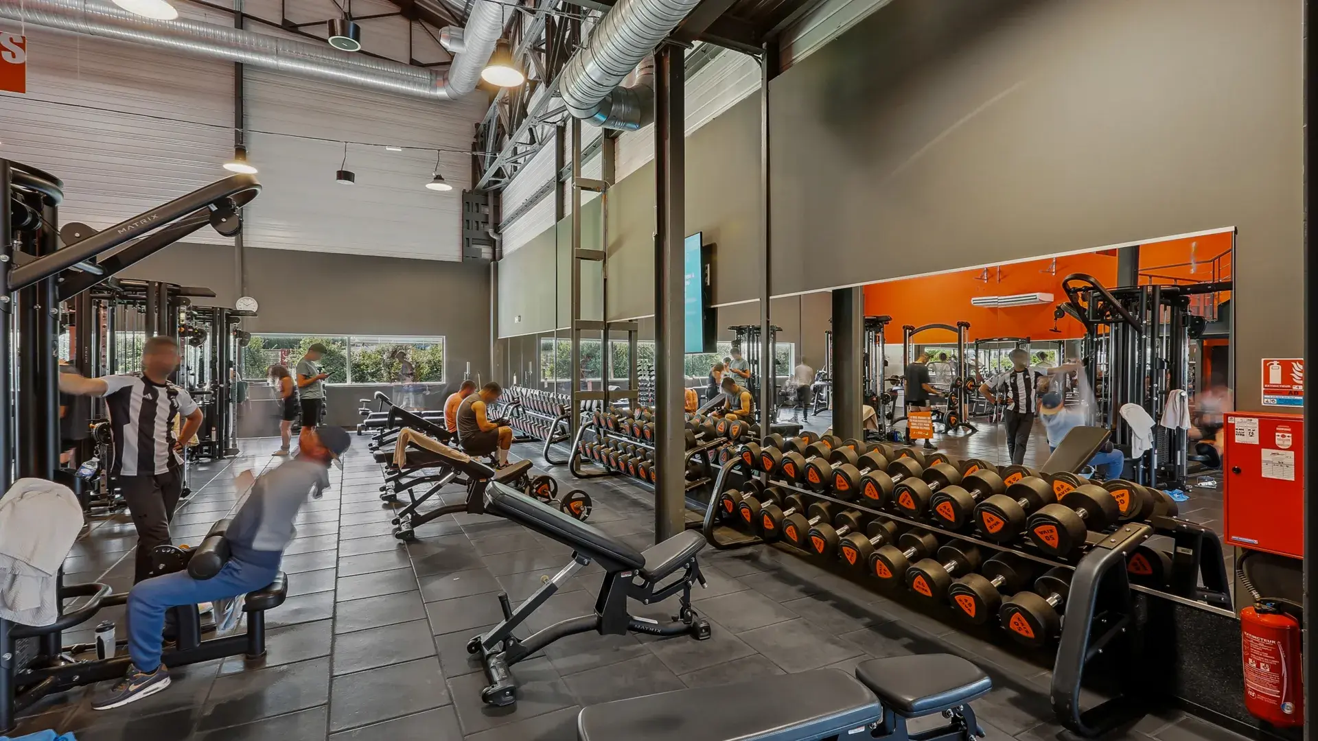 Miniature de la galerie