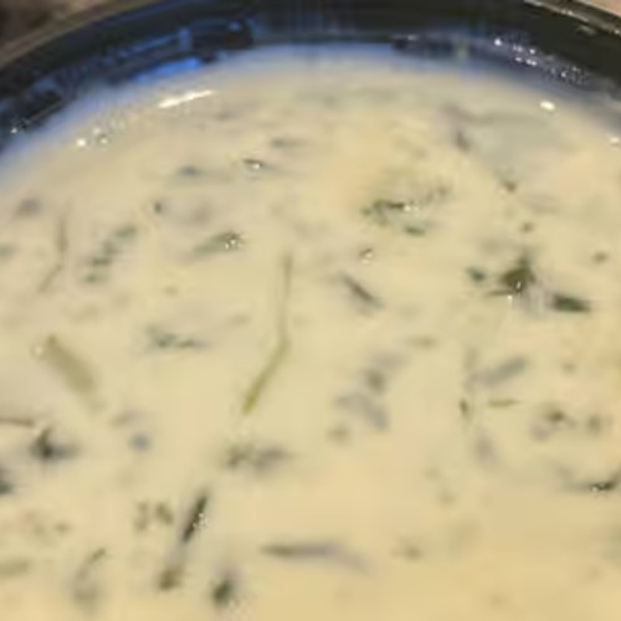 Espinaca Dip & Chips