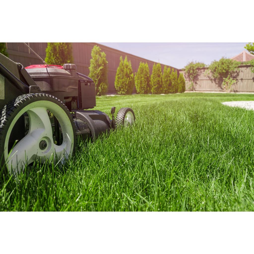 Ken and Company Logo