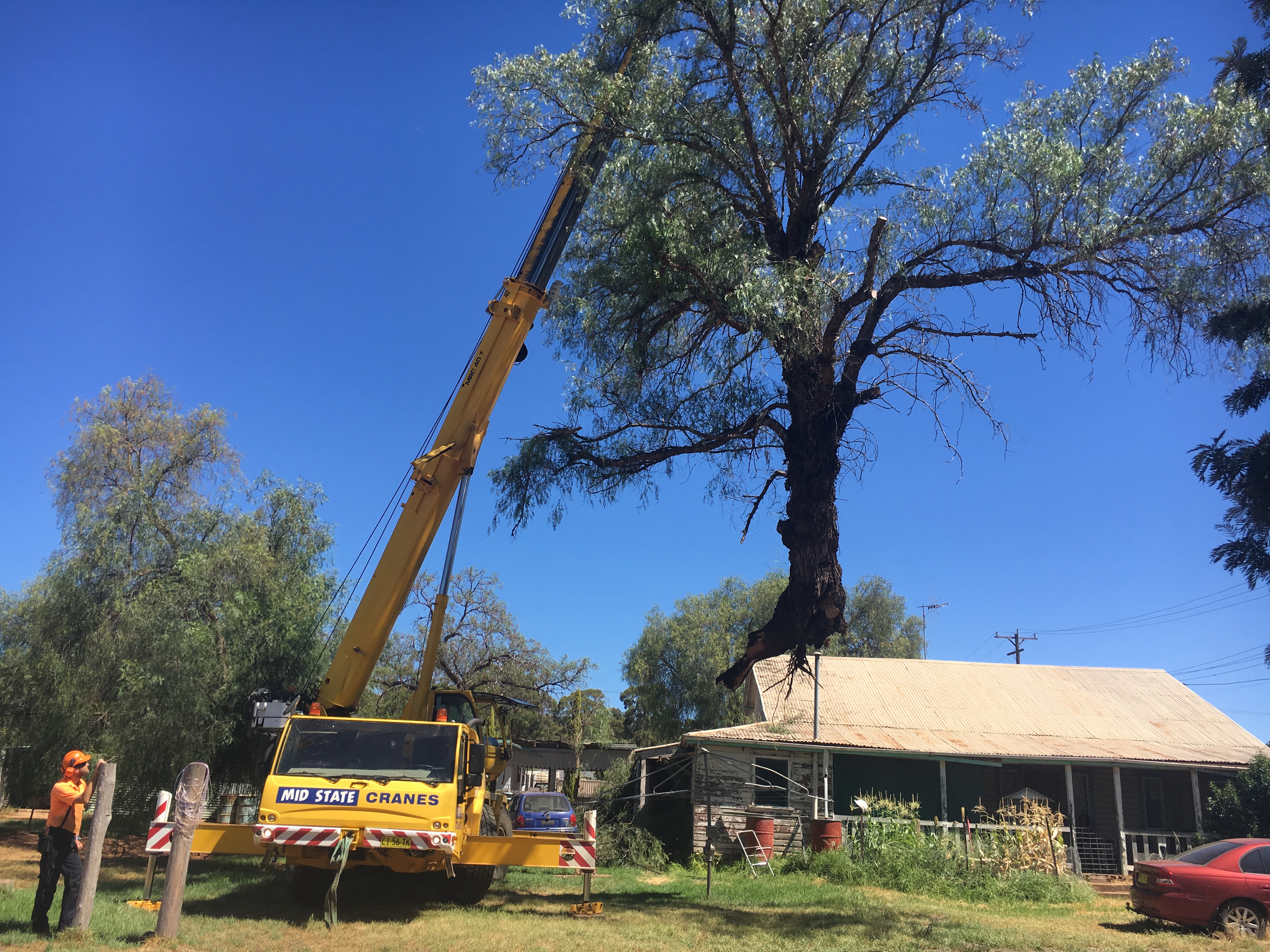 Fotos de Western Tree Management NSW Pty Ltd