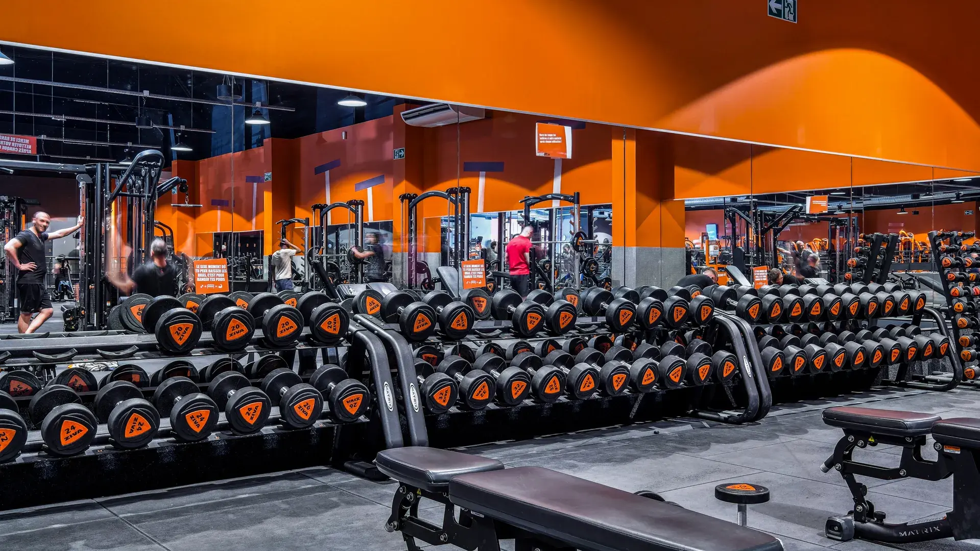 Miniature de la galerie