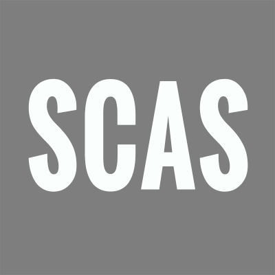 Salt City Auto Styling Logo