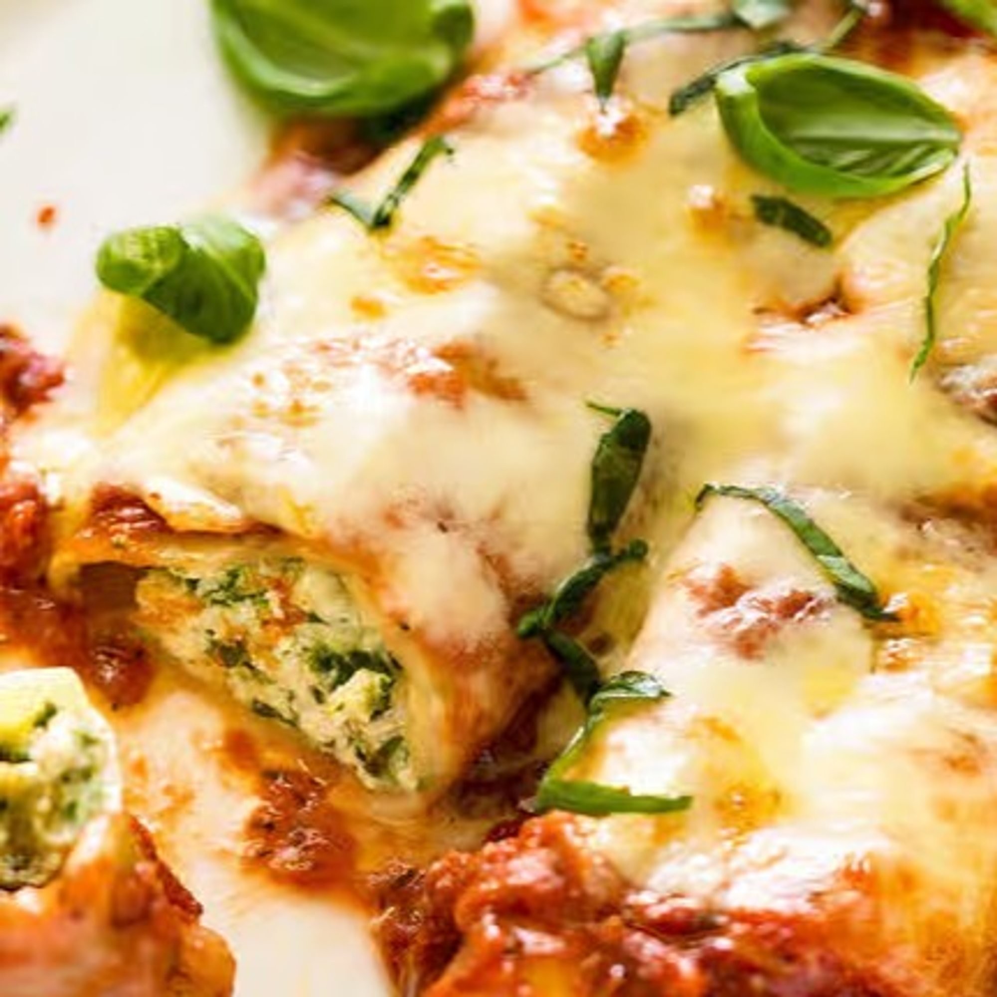 Cannelloni