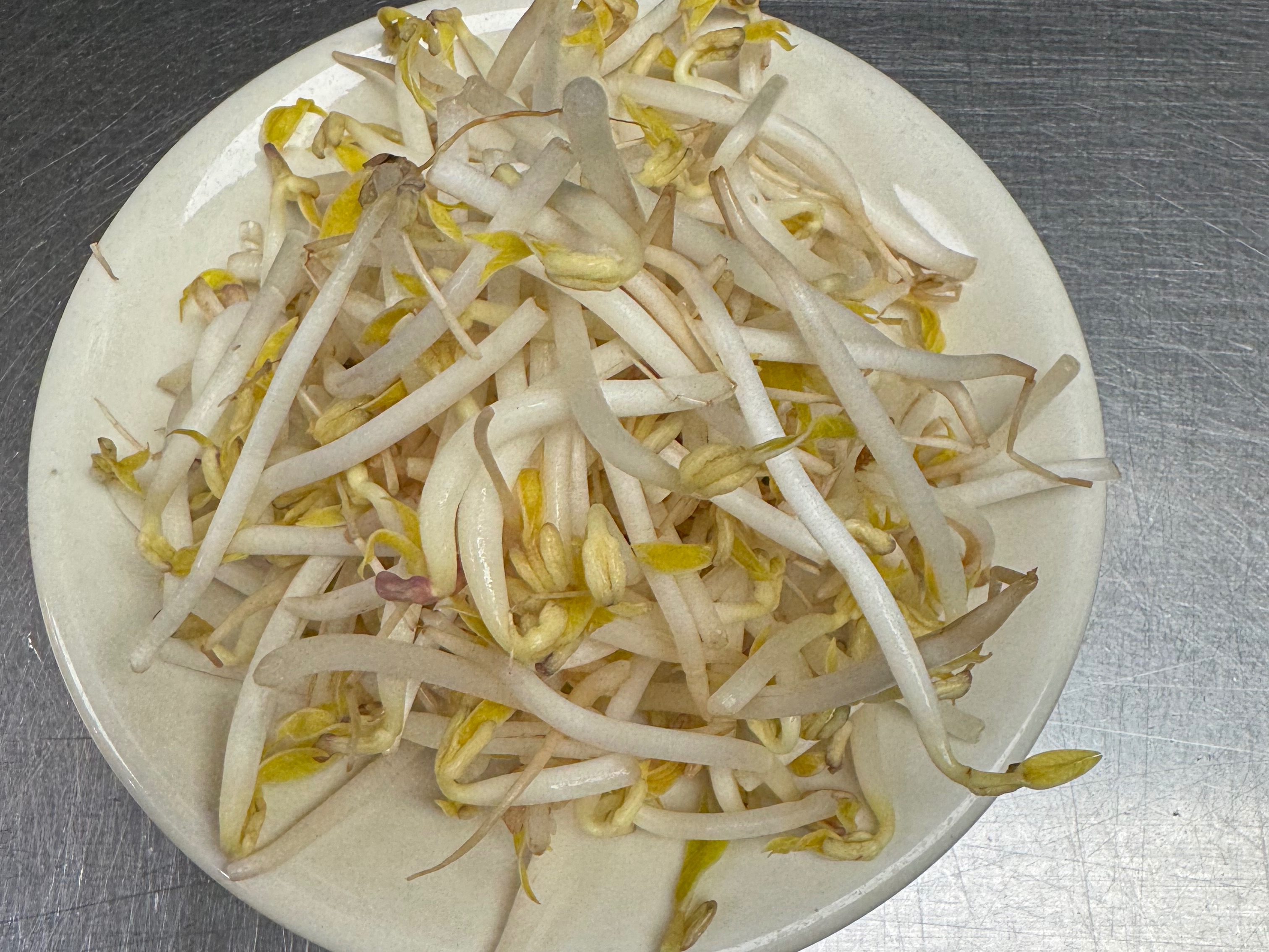 Side of Bean Sprouts