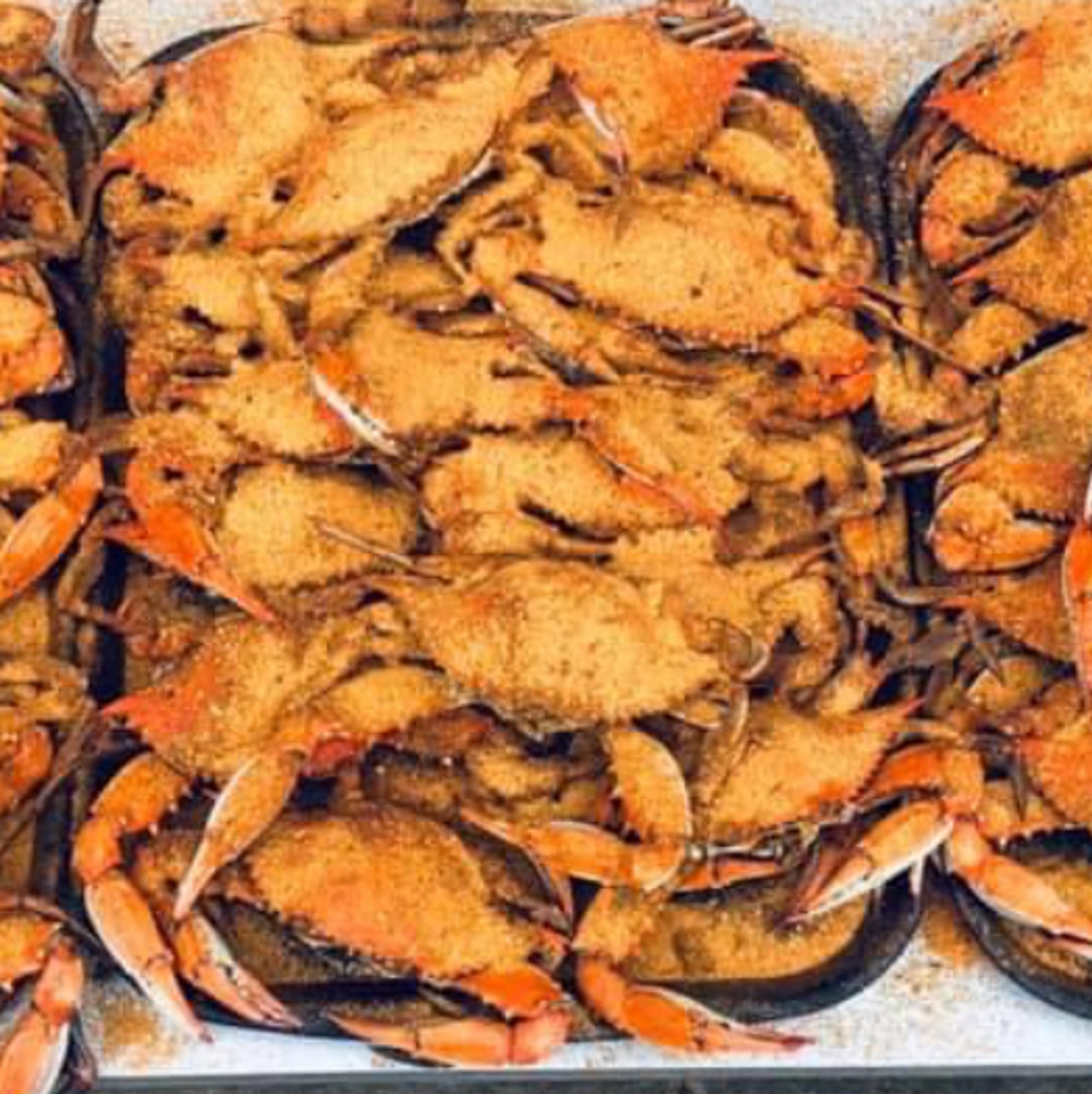 Fresh Blue Crabs #2 Medium Males Dozen