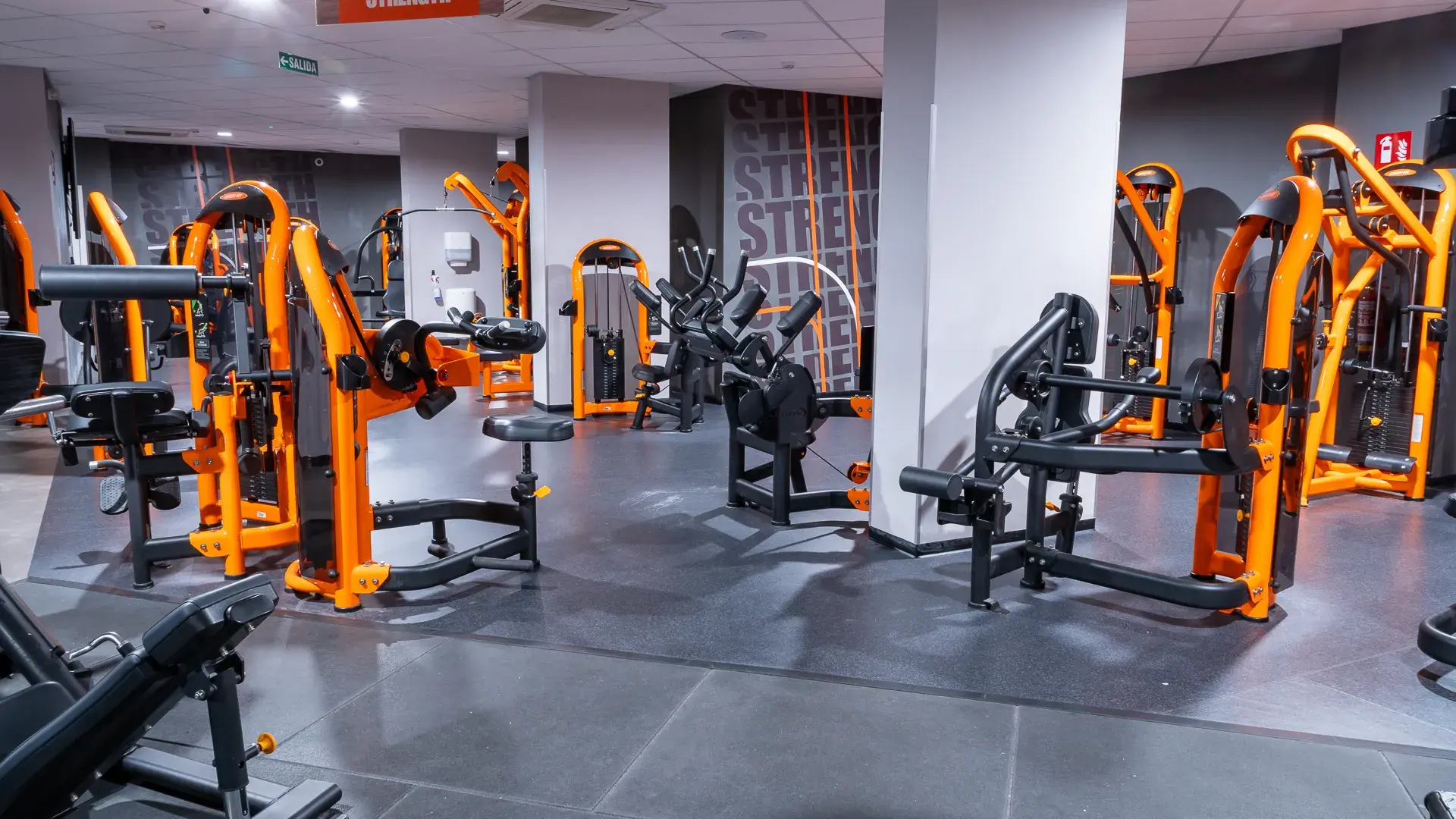 Galería en miniatura