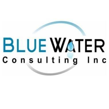 Blue Water Consulting Inc Logo