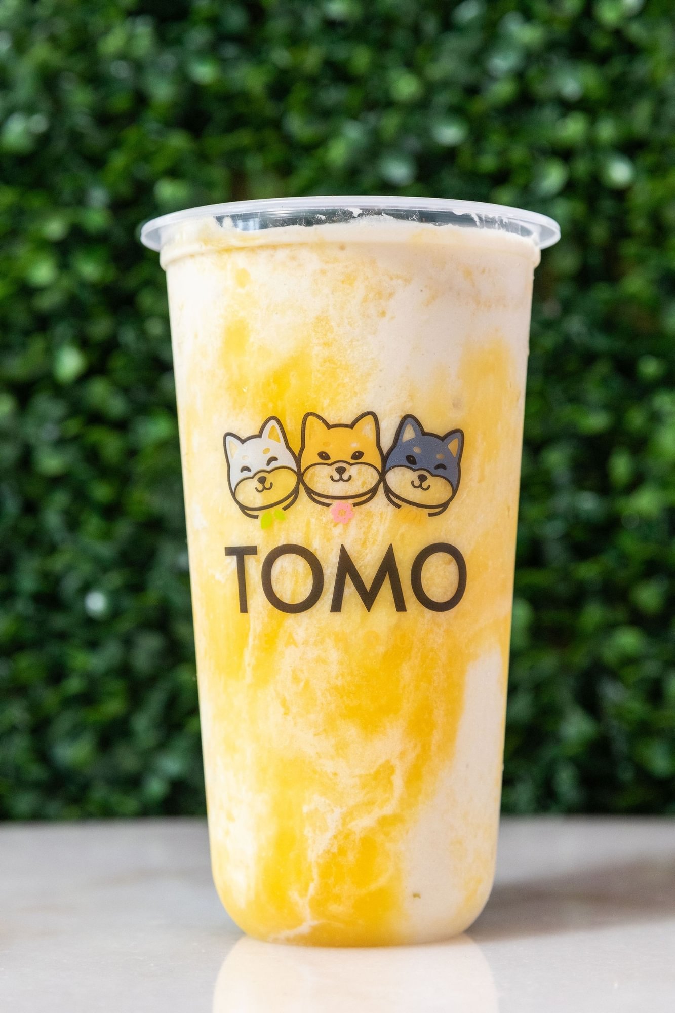 Mango Coconut Recovery