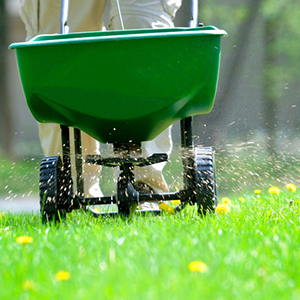 EZ Lawn Care &amp; Property Maintenance Inc Logo