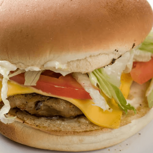 Gator Burger