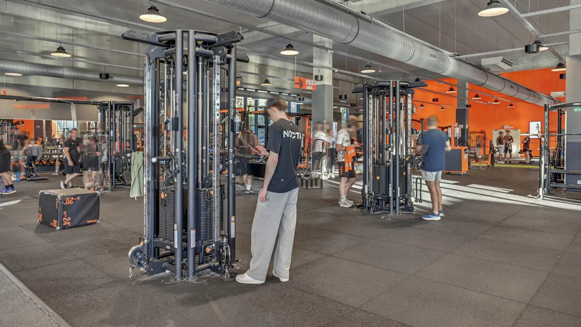 Miniature de la galerie