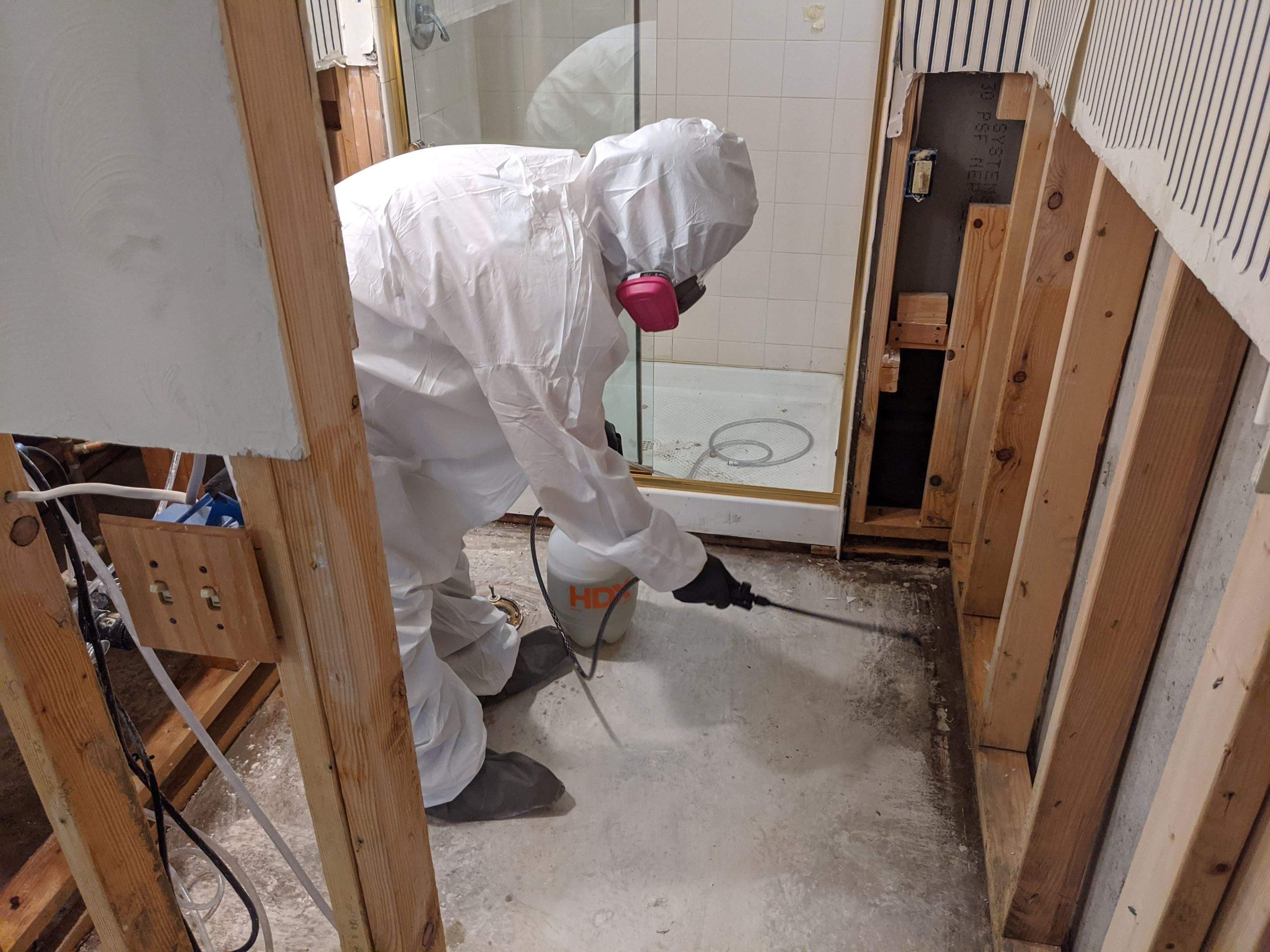 Anatom Restoration Image