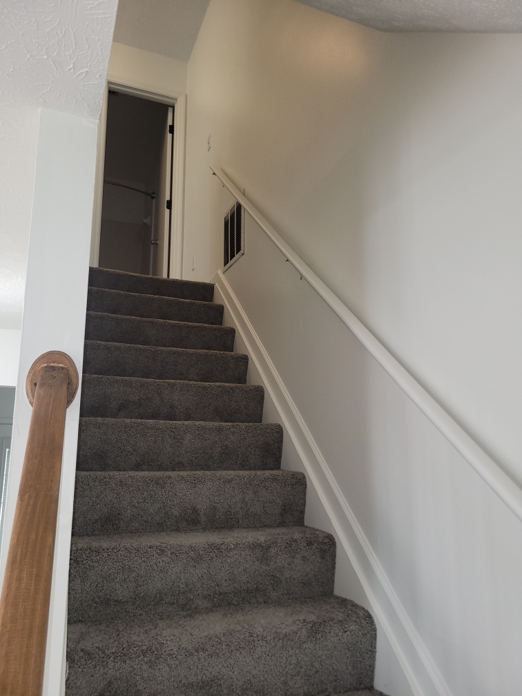 The Brush Bros Image