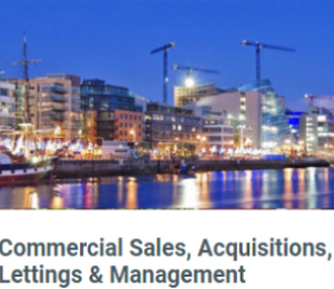 Rea Cumisky, Commercial Property, Dublin