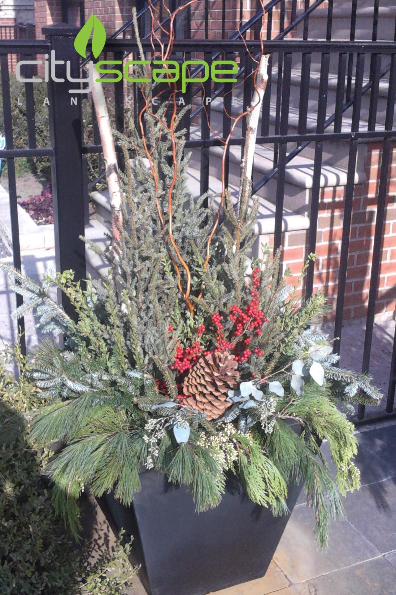 Cityscape Landscape Image