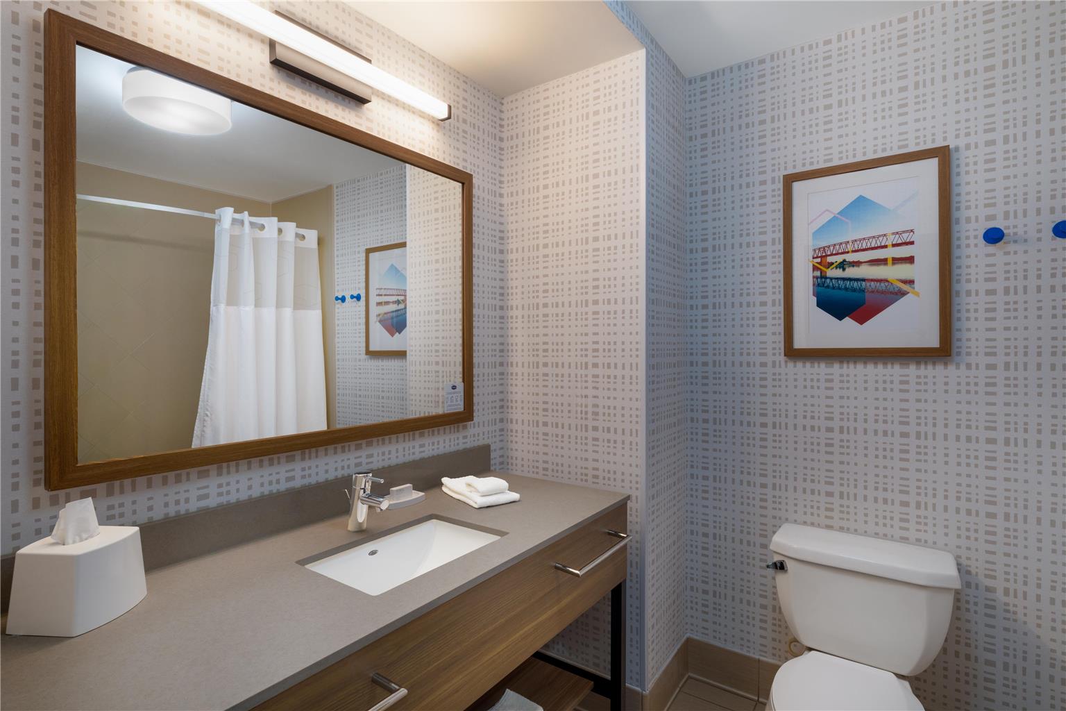 Hampton Inn Marietta Image