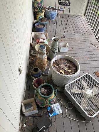Images G3 Junk Removal