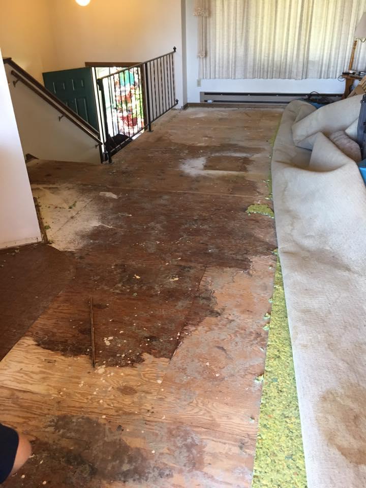 Newman Restoration & Cleaning Photo