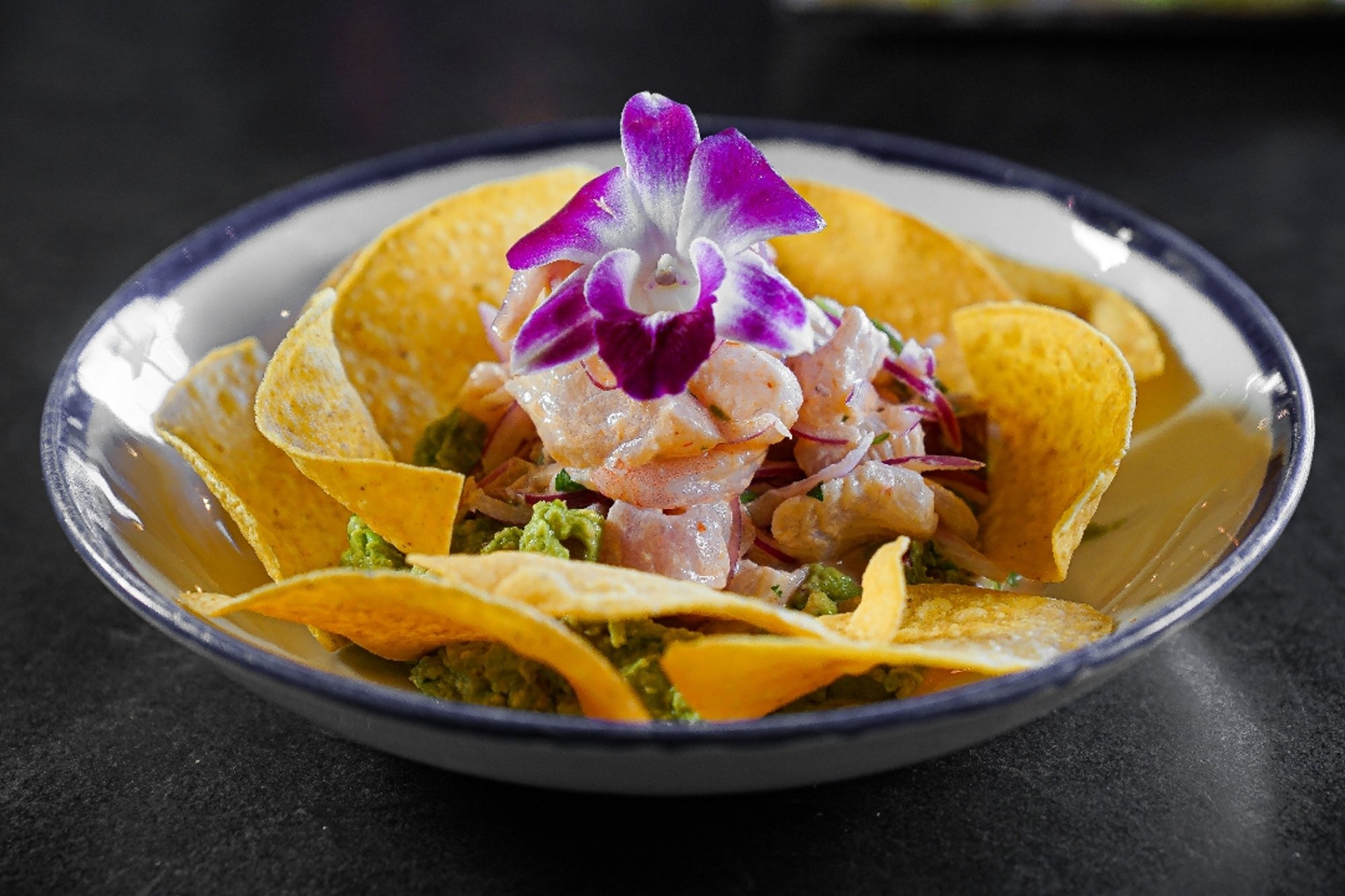 Guacaviche