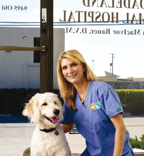 Dadeland Animal Hospital Photo